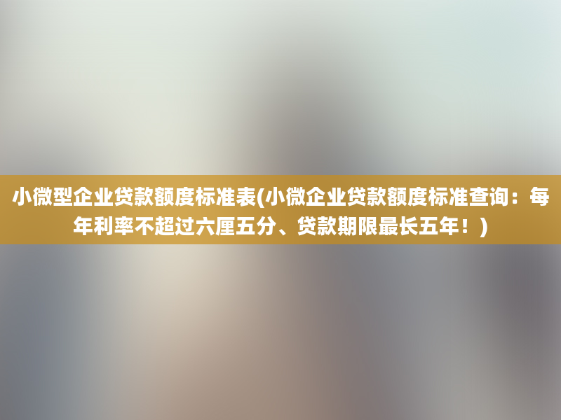 小微型企业贷款额度标准表(小微企业贷款额度标准查询：每年利率不超过六厘五分、贷款期限最长五年！)