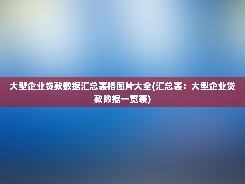 大型企业贷款数据汇总表格图片大全(汇总表：大型企业贷款数据一览表)