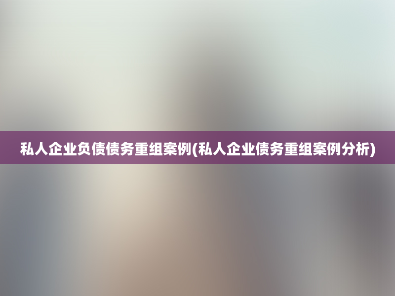 私人企业负债债务重组案例(私人企业债务重组案例分析)