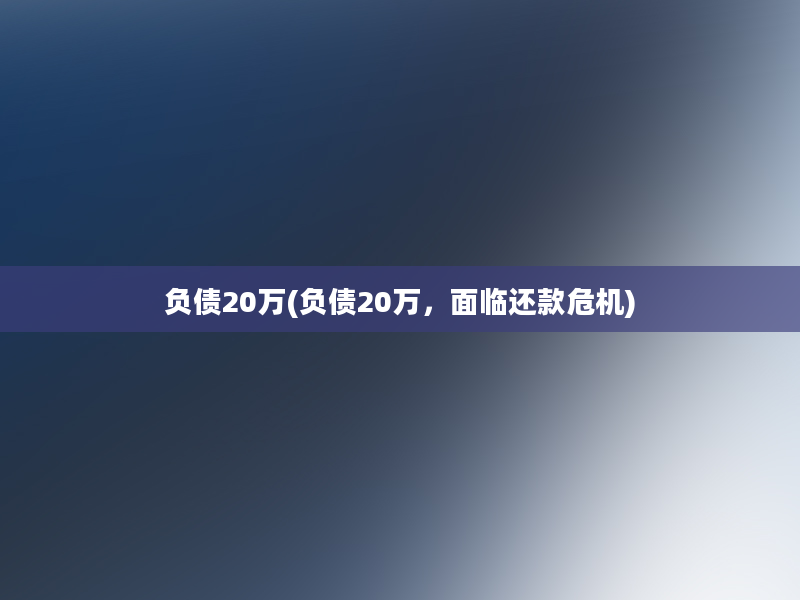 负债20万(负债20万，面临还款危机)