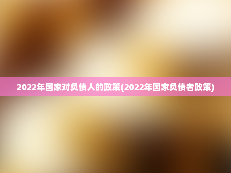 2022年国家对负债人的政策(2022年国家负债者政策)