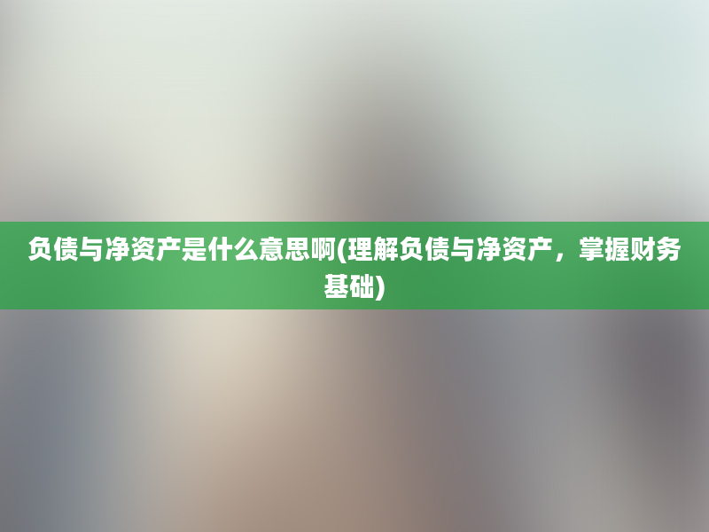 负债与净资产是什么意思啊(理解负债与净资产，掌握财务基础)