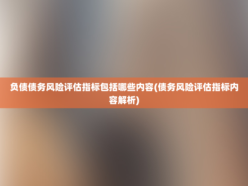 负债债务风险评估指标包括哪些内容(债务风险评估指标内容解析)