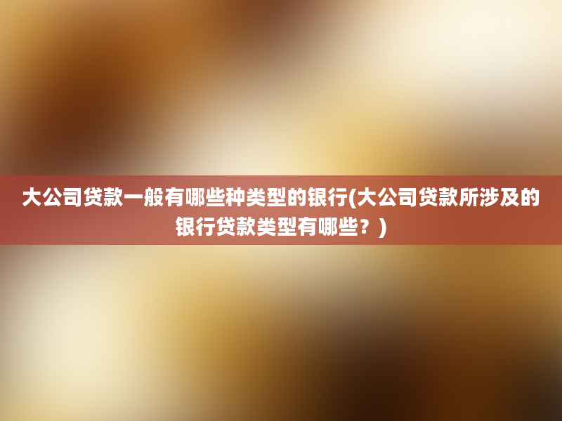 大公司贷款一般有哪些种类型的银行(大公司贷款所涉及的银行贷款类型有哪些？)