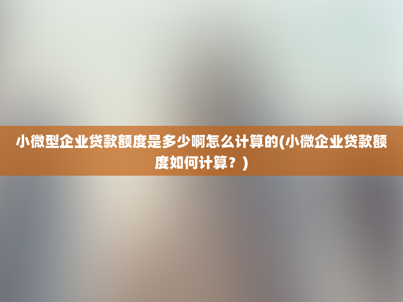 小微型企业贷款额度是多少啊怎么计算的(小微企业贷款额度如何计算？)