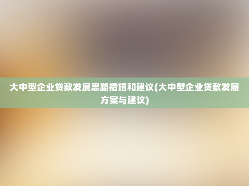 大中型企业贷款发展思路措施和建议(大中型企业贷款发展方案与建议)