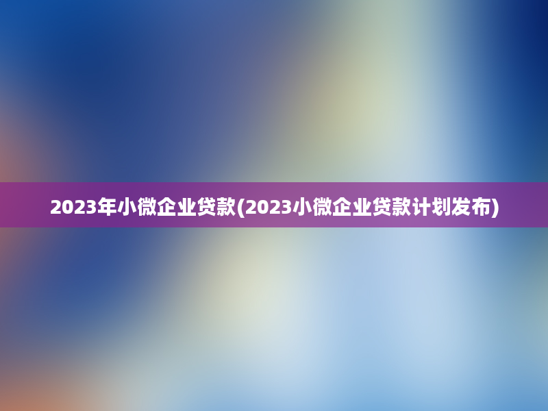 2023年小微企业贷款(2023小微企业贷款计划发布)