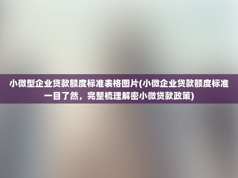 小微型企业贷款额度标准表格图片(小微企业贷款额度标准一目了然，完整梳理解密小微贷款政策)