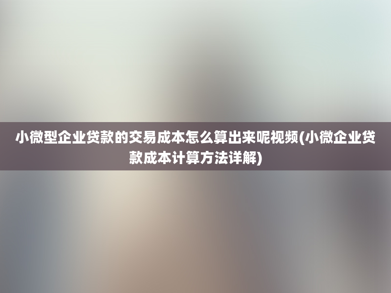 小微型企业贷款的交易成本怎么算出来呢视频(小微企业贷款成本计算方法详解)