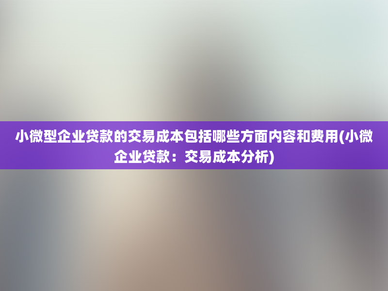 小微型企业贷款的交易成本包括哪些方面内容和费用(小微企业贷款：交易成本分析)