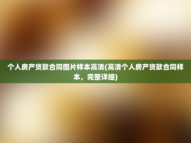 个人房产贷款合同图片样本高清(高清个人房产贷款合同样本，完整详细)