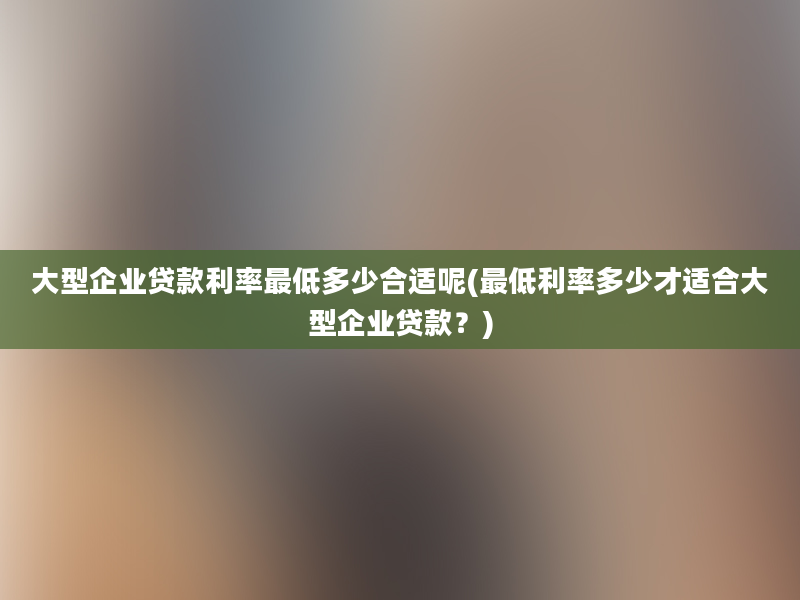 大型企业贷款利率最低多少合适呢(最低利率多少才适合大型企业贷款？)