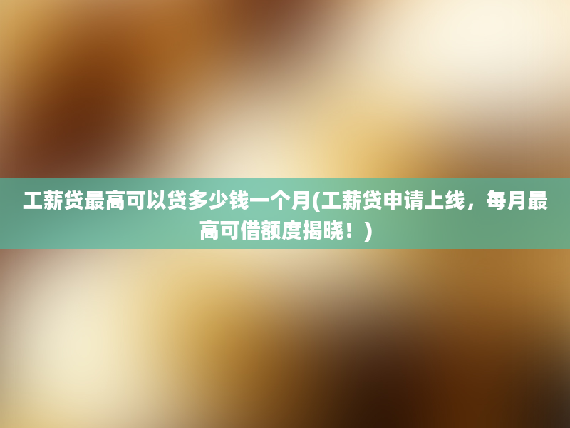 工薪贷最高可以贷多少钱一个月(工薪贷申请上线，每月最高可借额度揭晓！)