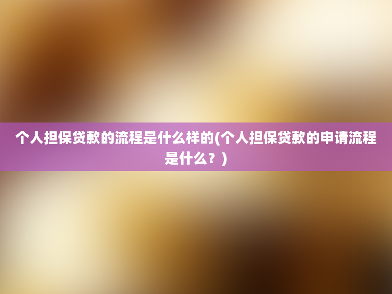 个人担保贷款的流程是什么样的(个人担保贷款的申请流程是什么？)