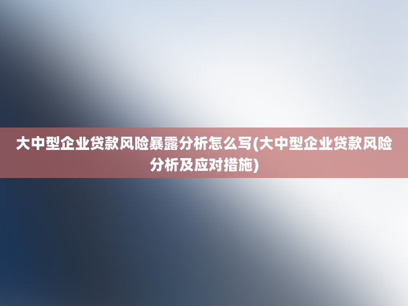 大中型企业贷款风险暴露分析怎么写(大中型企业贷款风险分析及应对措施)