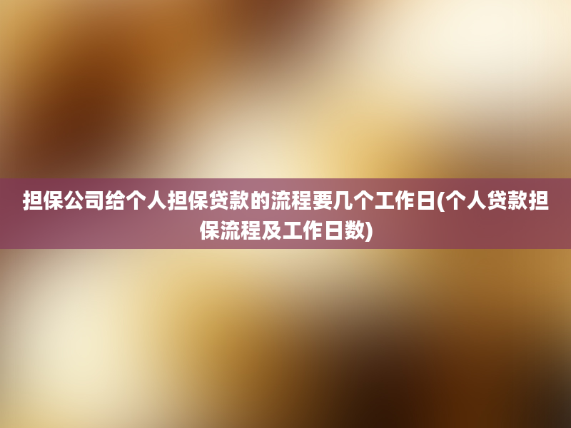 担保公司给个人担保贷款的流程要几个工作日(个人贷款担保流程及工作日数)