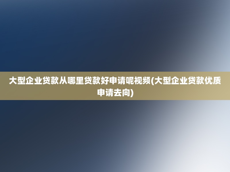 大型企业贷款从哪里贷款好申请呢视频(大型企业贷款优质申请去向)