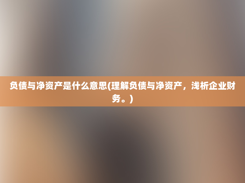 负债与净资产是什么意思(理解负债与净资产，浅析企业财务。)