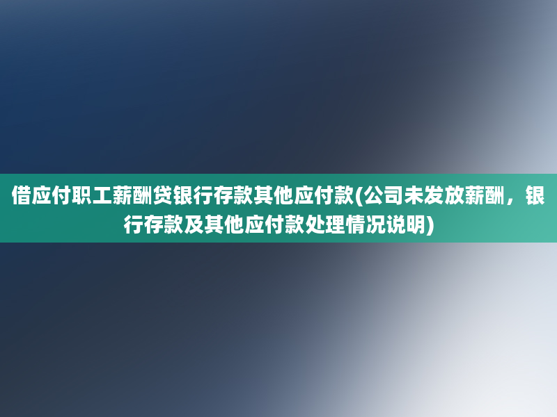 借应付职工薪酬贷银行存款其他应付款(公司未发放薪酬，银行存款及其他应付款处理情况说明)