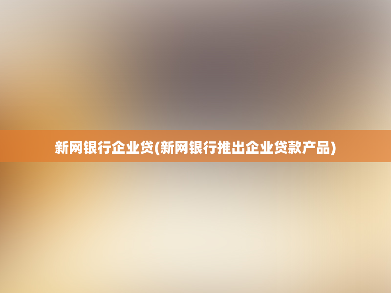 新网银行企业贷(新网银行推出企业贷款产品)