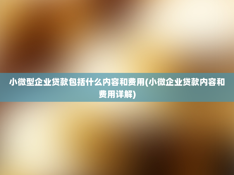 小微型企业贷款包括什么内容和费用(小微企业贷款内容和费用详解)