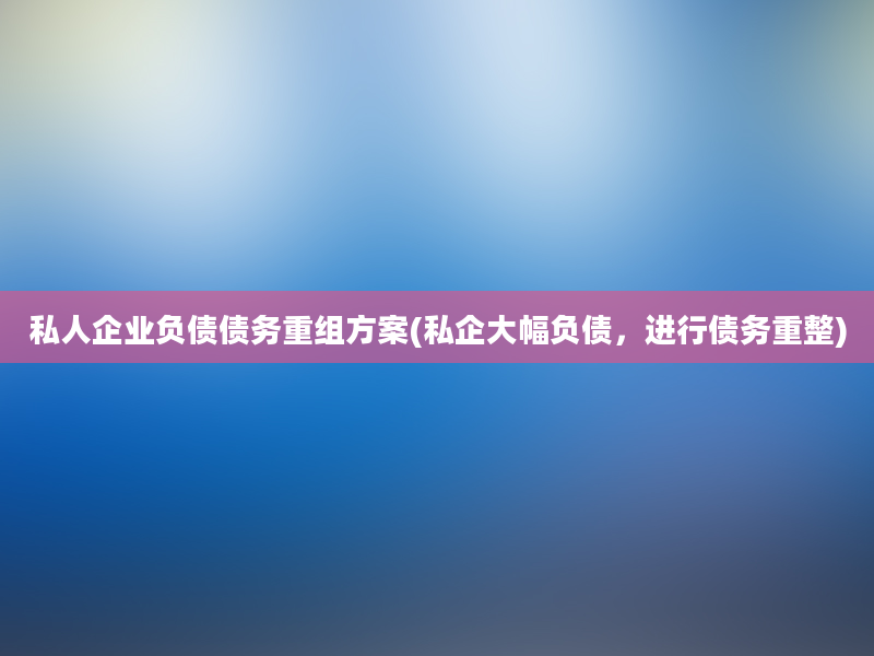 私人企业负债债务重组方案(私企大幅负债，进行债务重整)