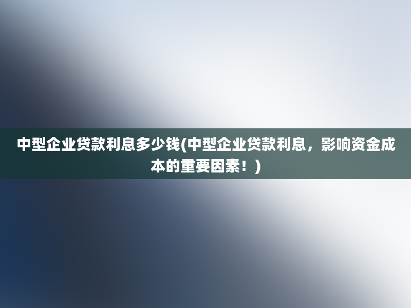 中型企业贷款利息多少钱(中型企业贷款利息，影响资金成本的重要因素！)