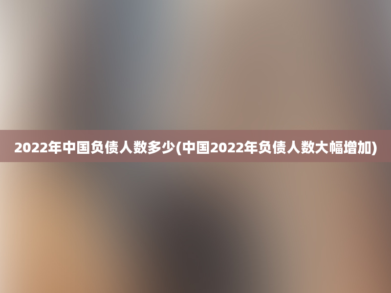 2022年中国负债人数多少(中国2022年负债人数大幅增加)