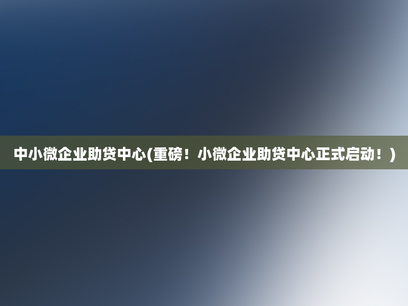 中小微企业助贷中心(重磅！小微企业助贷中心正式启动！)