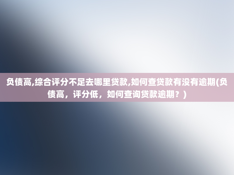 负债高,综合评分不足去哪里贷款,如何查贷款有没有逾期(负债高，评分低，如何查询贷款逾期？)