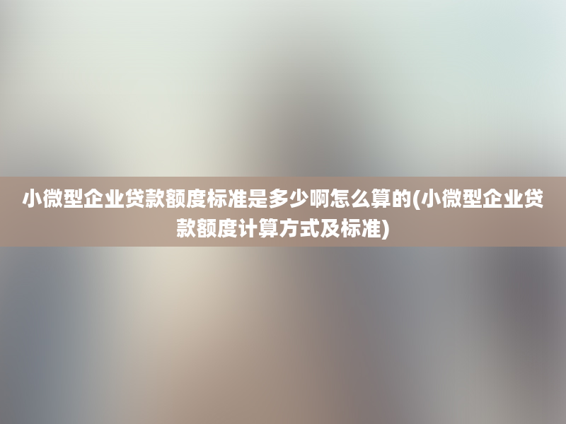 小微型企业贷款额度标准是多少啊怎么算的(小微型企业贷款额度计算方式及标准)