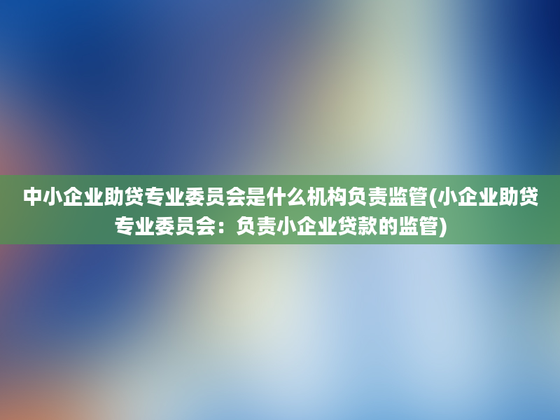 中小企业助贷专业委员会是什么机构负责监管(小企业助贷专业委员会：负责小企业贷款的监管)