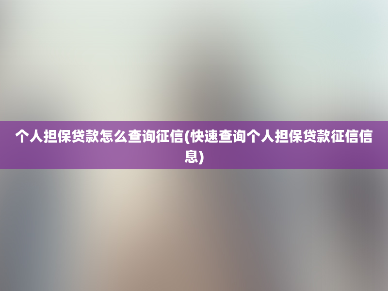 个人担保贷款怎么查询征信(快速查询个人担保贷款征信信息)