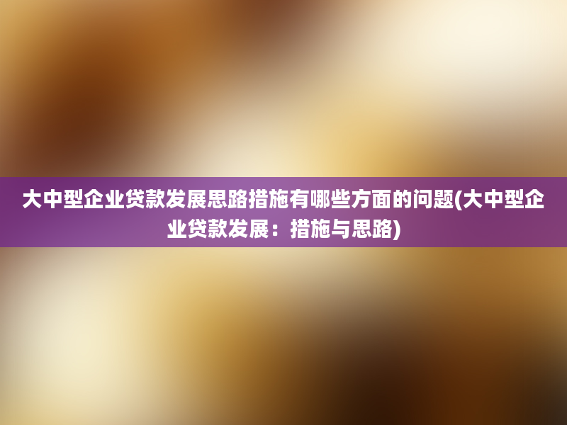 大中型企业贷款发展思路措施有哪些方面的问题(大中型企业贷款发展：措施与思路)