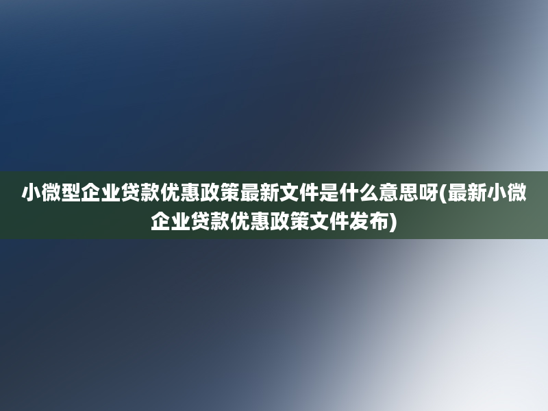 小微型企业贷款优惠政策最新文件是什么意思呀(最新小微企业贷款优惠政策文件发布)