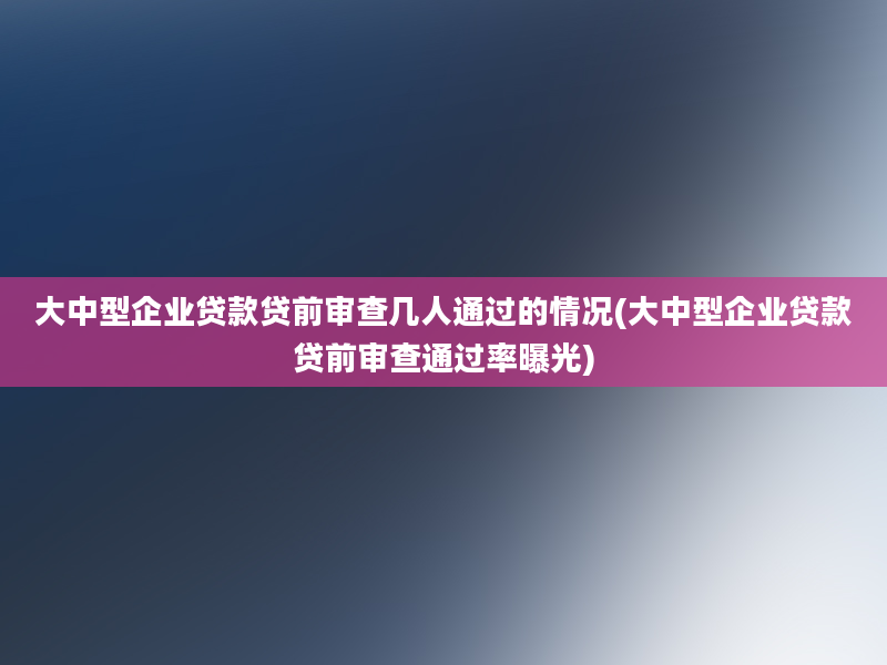 大中型企业贷款贷前审查几人通过的情况(大中型企业贷款贷前审查通过率曝光)