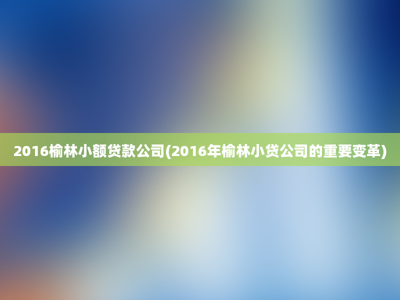 2016榆林小额贷款公司(2016年榆林小贷公司的重要变革)