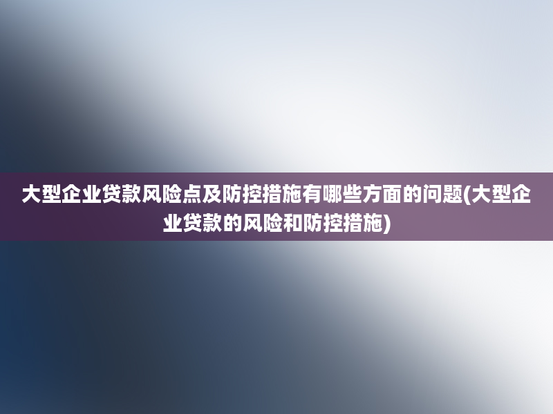 大型企业贷款风险点及防控措施有哪些方面的问题(大型企业贷款的风险和防控措施)