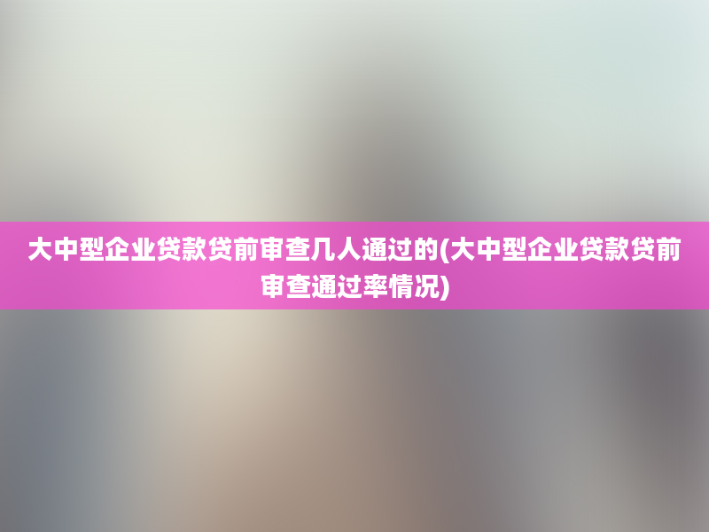 大中型企业贷款贷前审查几人通过的(大中型企业贷款贷前审查通过率情况)