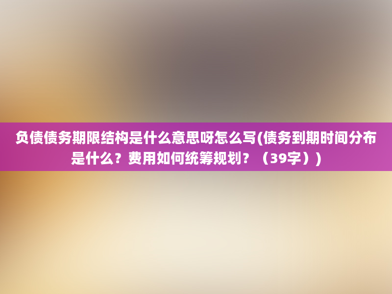 负债债务期限结构是什么意思呀怎么写(债务到期时间分布是什么？费用如何统筹规划？（39字）)