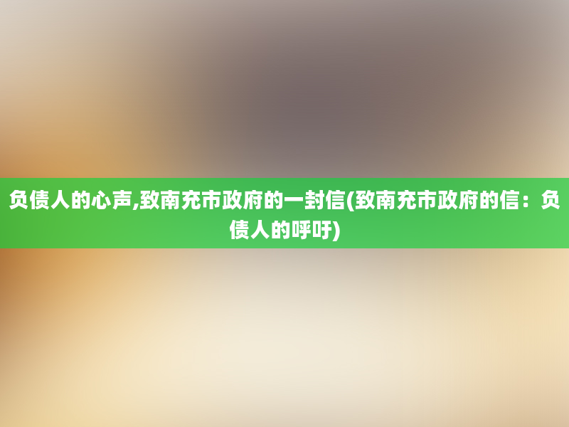 负债人的心声,致南充市政府的一封信(致南充市政府的信：负债人的呼吁)