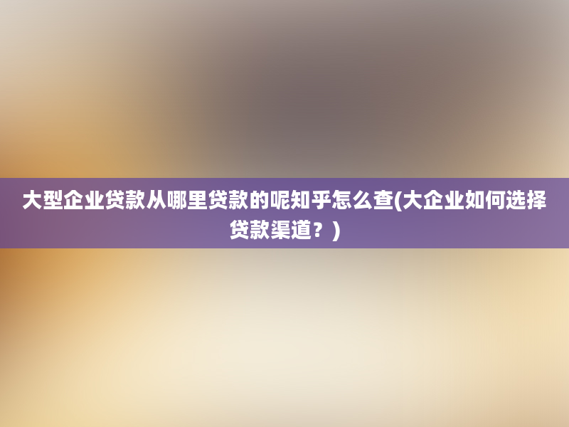 大型企业贷款从哪里贷款的呢知乎怎么查(大企业如何选择贷款渠道？)