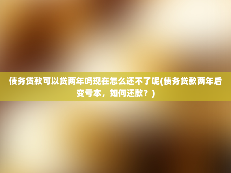 债务贷款可以贷两年吗现在怎么还不了呢(债务贷款两年后变亏本，如何还款？)