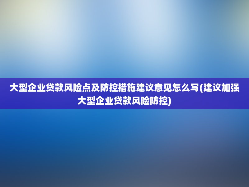 大型企业贷款风险点及防控措施建议意见怎么写(建议加强大型企业贷款风险防控)