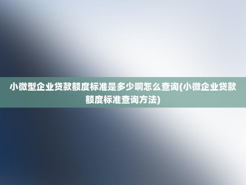 小微型企业贷款额度标准是多少啊怎么查询(小微企业贷款额度标准查询方法)