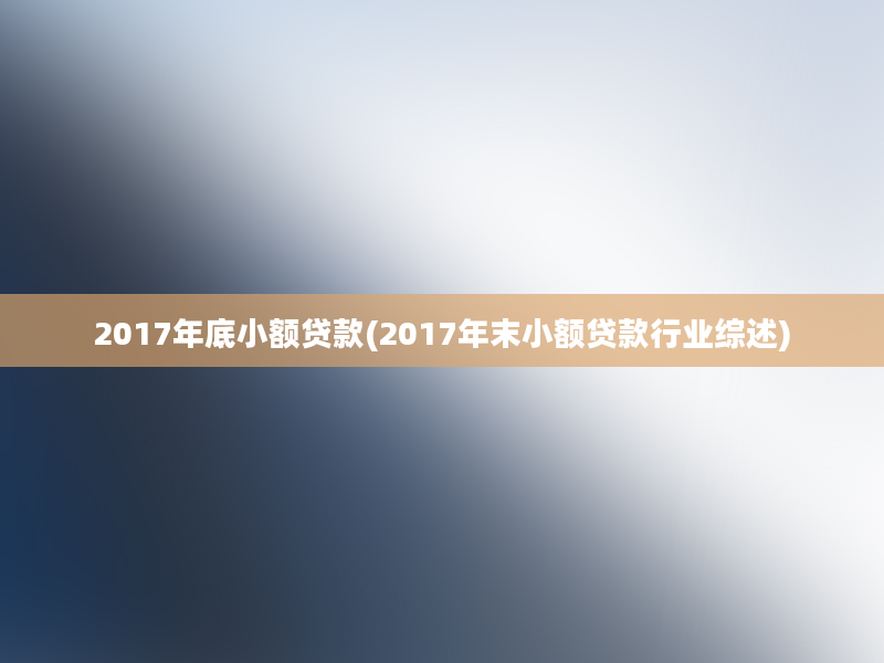 2017年底小额贷款(2017年末小额贷款行业综述)