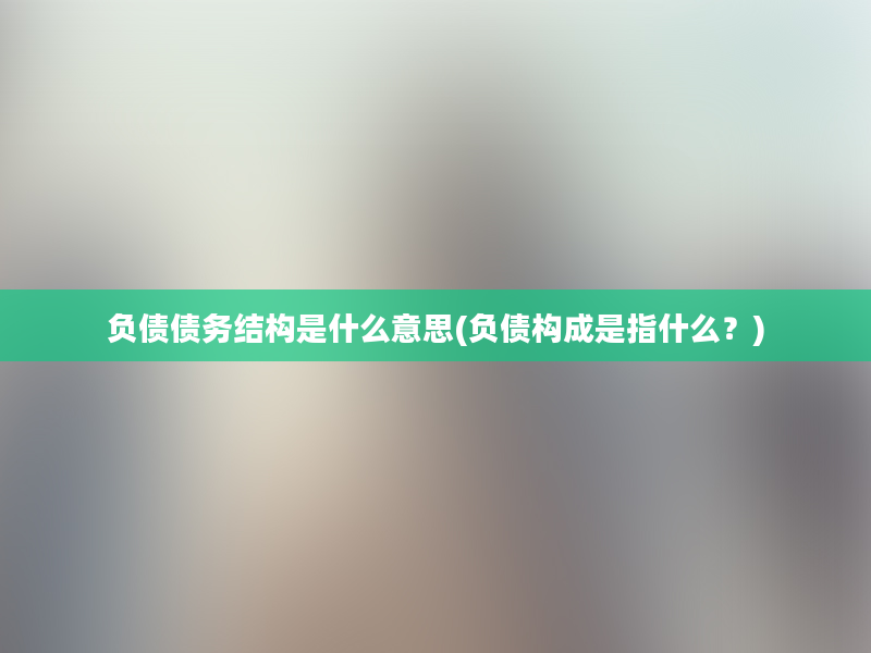 负债债务结构是什么意思(负债构成是指什么？)