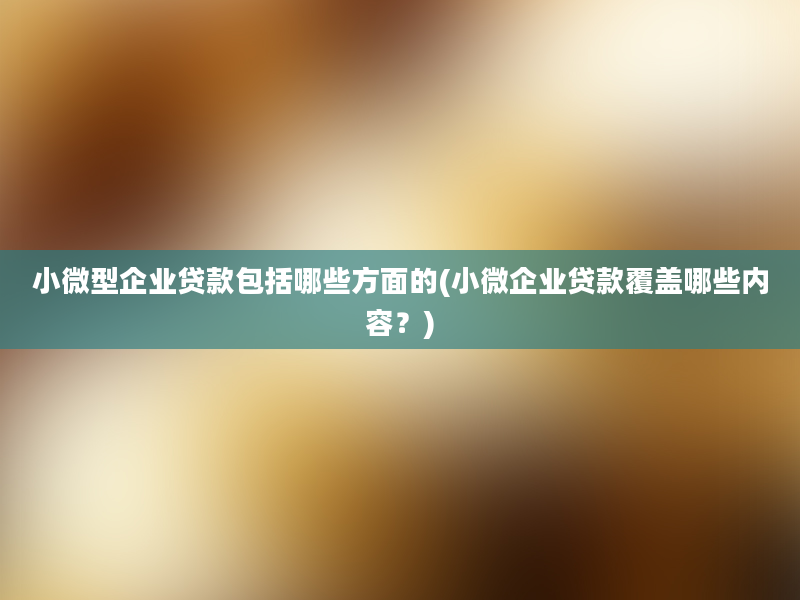 小微型企业贷款包括哪些方面的(小微企业贷款覆盖哪些内容？)