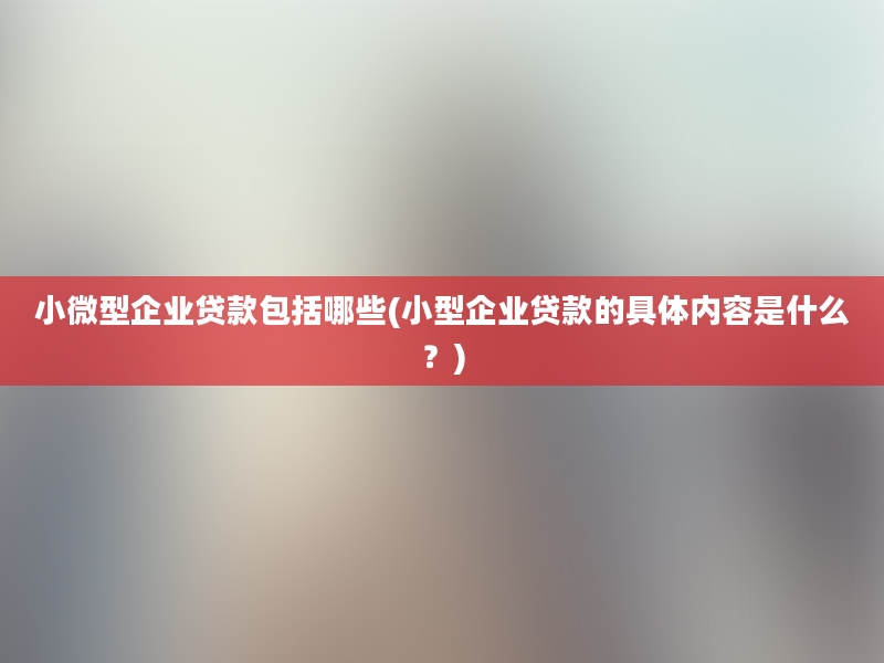 小微型企业贷款包括哪些(小型企业贷款的具体内容是什么？)