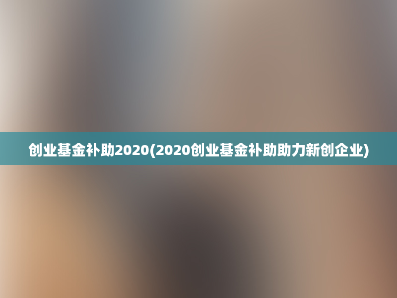 创业基金补助2020(2020创业基金补助助力新创企业)